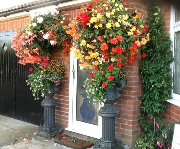 Charity-Event-Grass-Driveways-Patios-Paving-Garden-Maintenance-Landscaping-Fencing-Sunshine-Gardens-Christchurch-Dorset-2