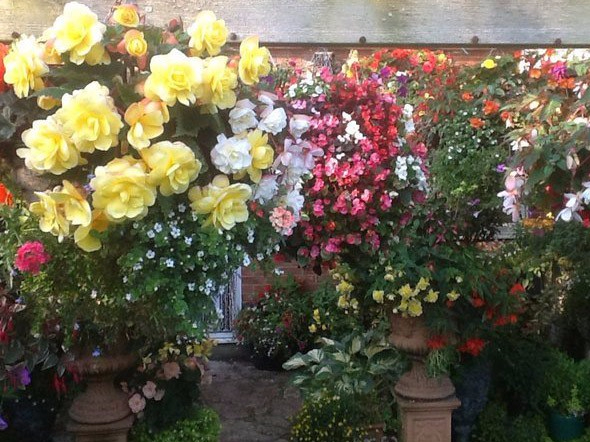 encing-Sunshine-Gardens-Christchurch-Dorset-6