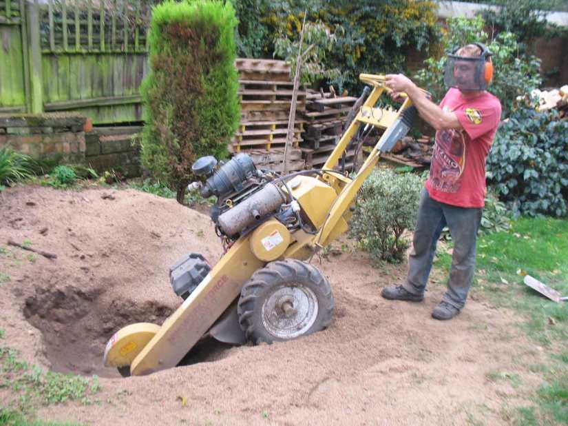 Garden-Maintenance-Landscaping-Driveways-Patios-Paving-Tree-Surgeon-Sunshine-Gardens-Christchurch-Dorset