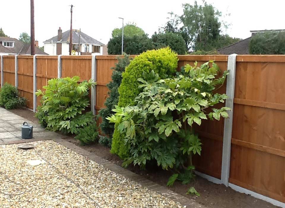 Fencing-Repair-Replacement-Garden-Maintenance-Landscaping-Sunshine-Gardens-Christchurch-Dorset-1